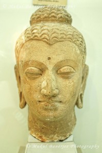 Gandhara Kamboja Dynasty - Sculpture of head of Buddha
